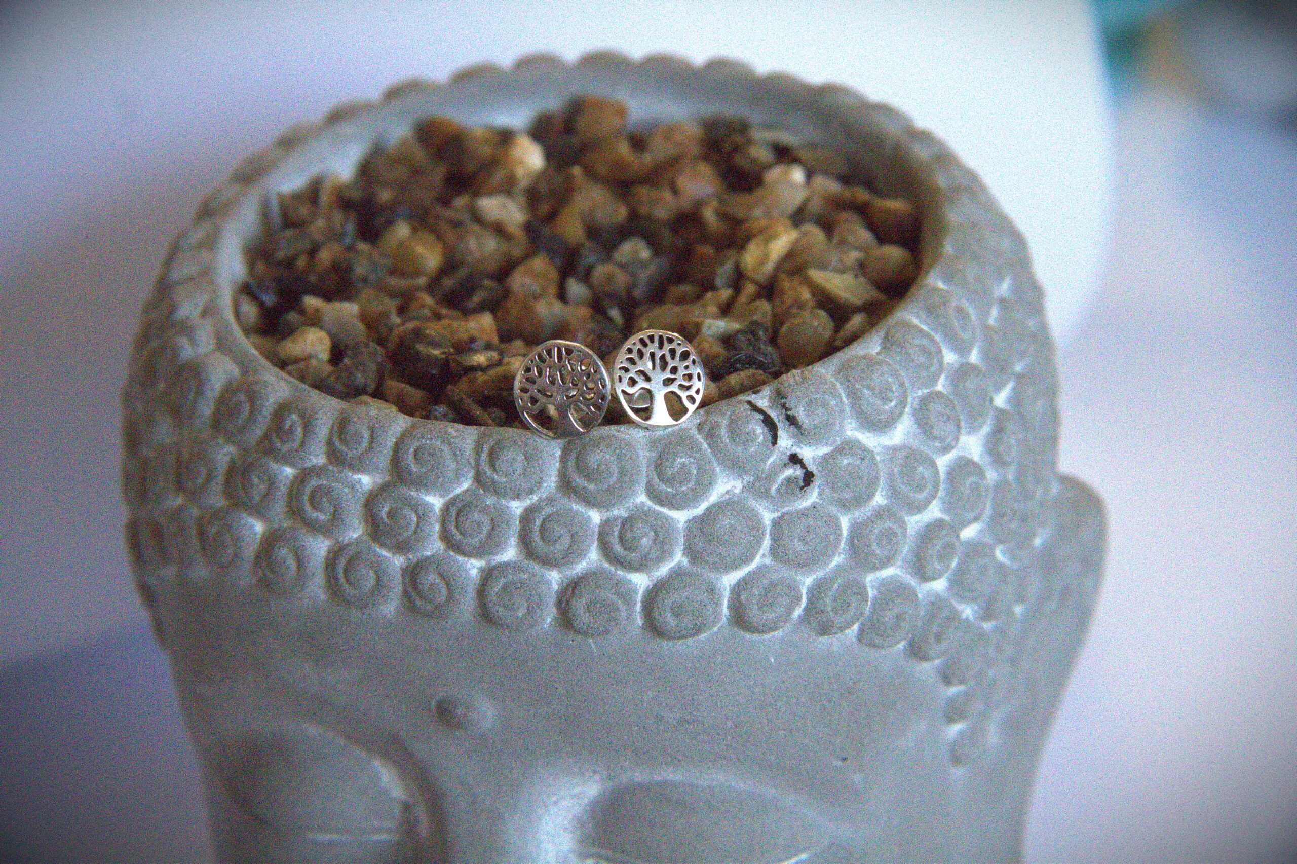 PENDIENTES PLATA ARBOL DE LA VIDA - Imagen 3
