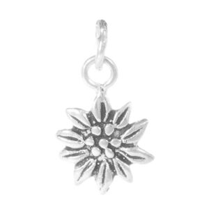 COLGANTE EDELWEISS