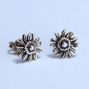 Pendientes plata de ley eguzkilore