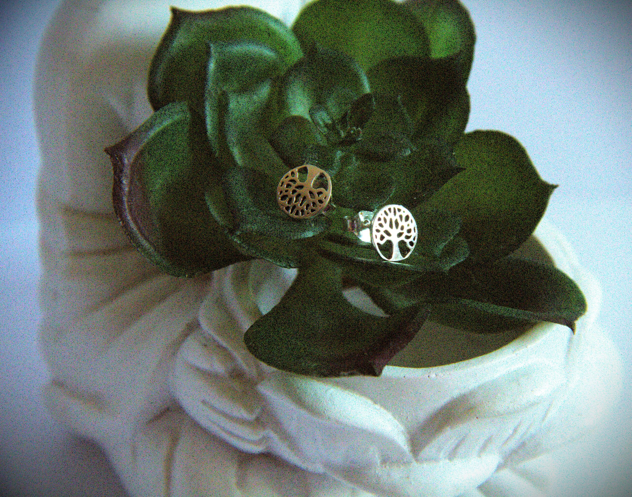 PENDIENTES PLATA ARBOL DE LA VIDA - Imagen 2