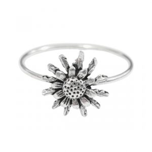 ANILLO EGUZKILORE