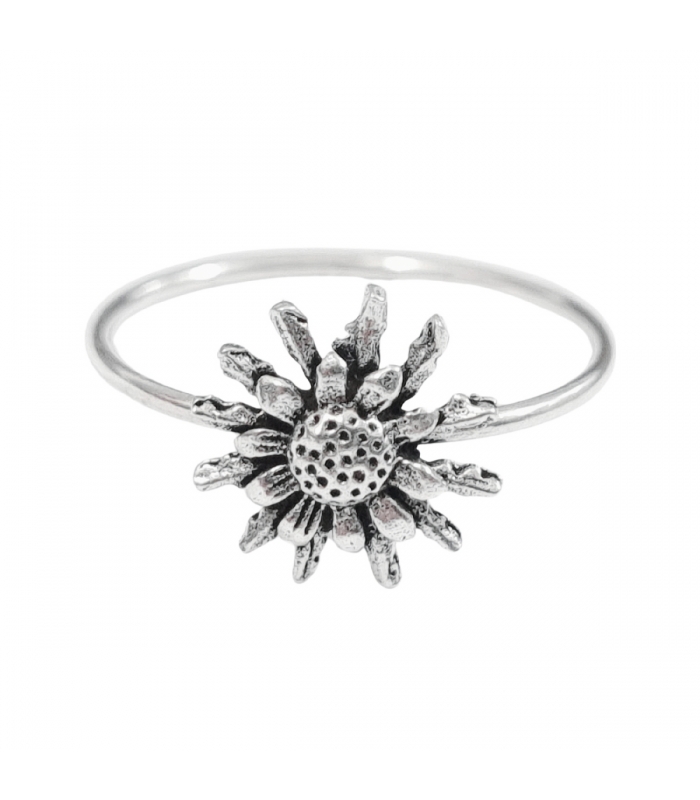ANILLO EGUZKILORE